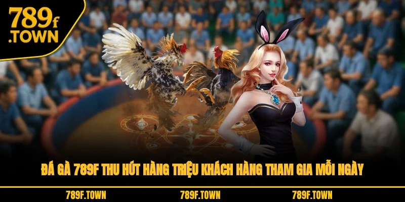 Đá gà 789F thu hút hàng triệu khách hàng tham gia mỗi ngày Đá gà 789F thu hút hàng triệu khách hàng tham gia mỗi ngày
