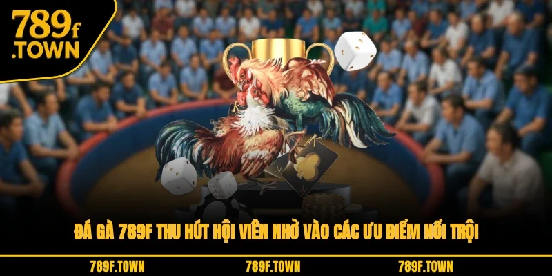 Đá gà 789F thu hút hội viên nhờ vào các ưu điểm nổi trội Đá gà 789F thu hút hội viên nhờ vào các ưu điểm nổi trội